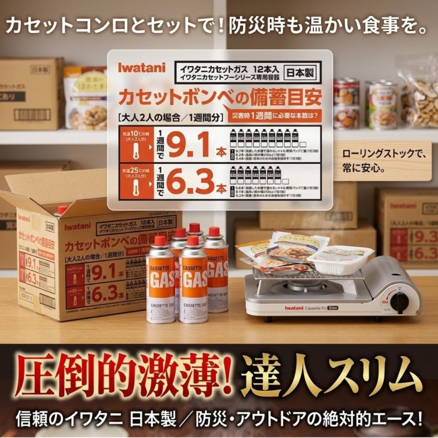 Iwatani（イワタニ） カセットガス 12本 セット CB-250-OR カセット
