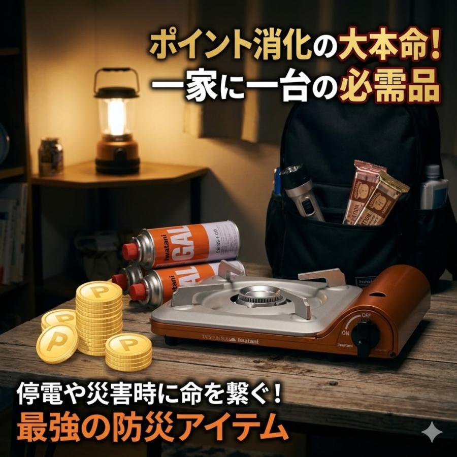 Iwatani（イワタニ） カセットガス 12本 セット CB-250-OR カセット