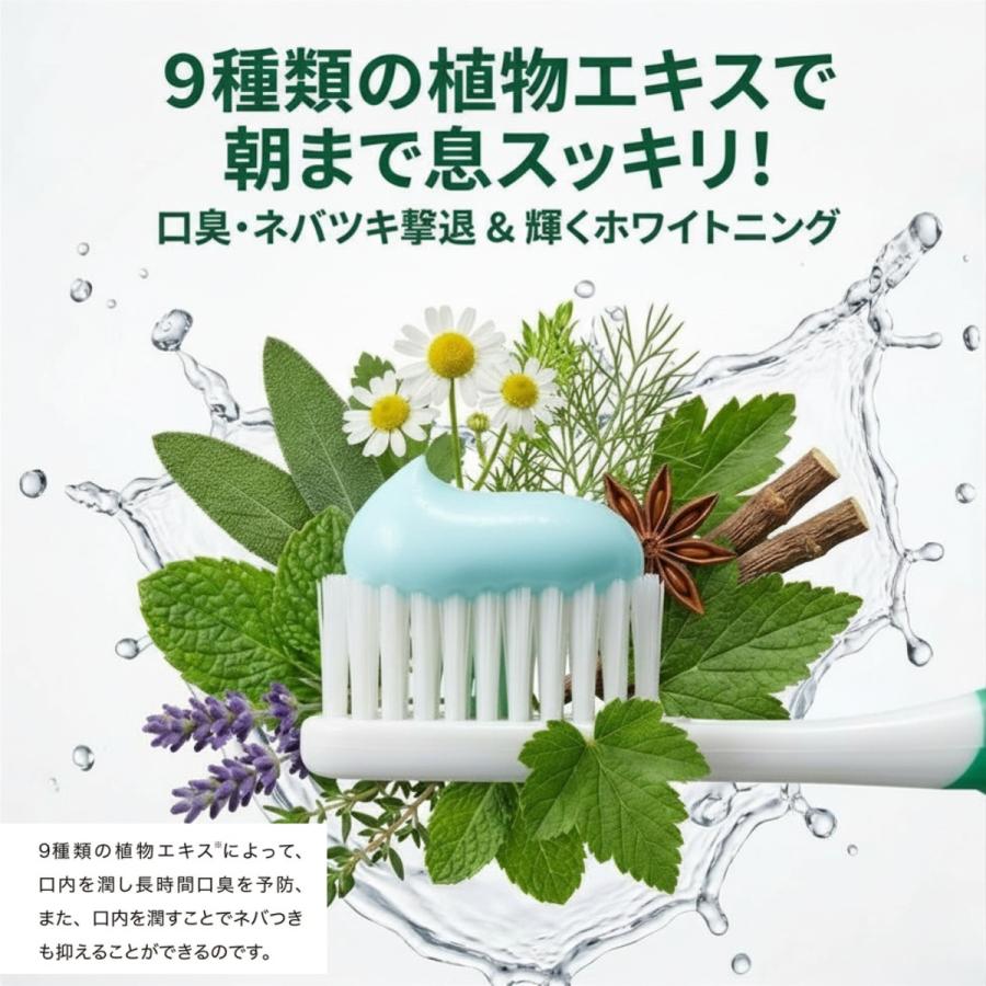 DENTISTE'（デンティス） 歯磨き粉 ホワイトニング 160g 大容量