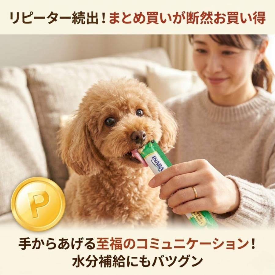 INABA ちゅ〜る ちゅーる 犬 80本 いなば 5種 チャオ チュール イナバ