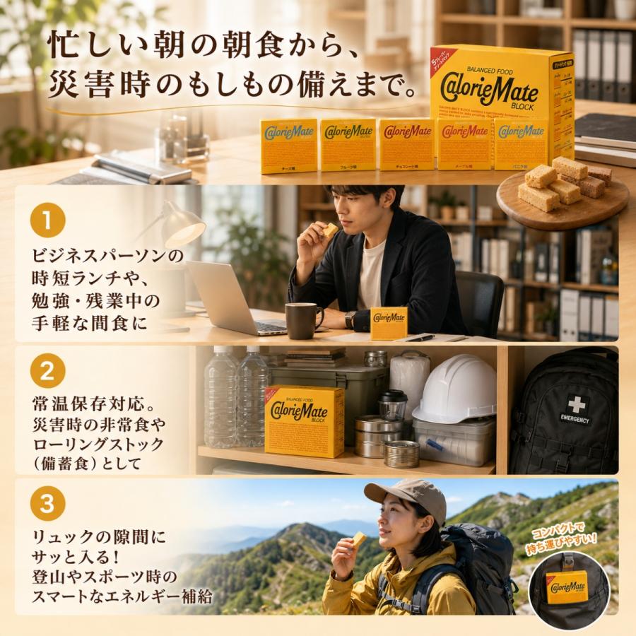 カロリーメイト チョコ ブロック 5種 4本入 2セット アソート