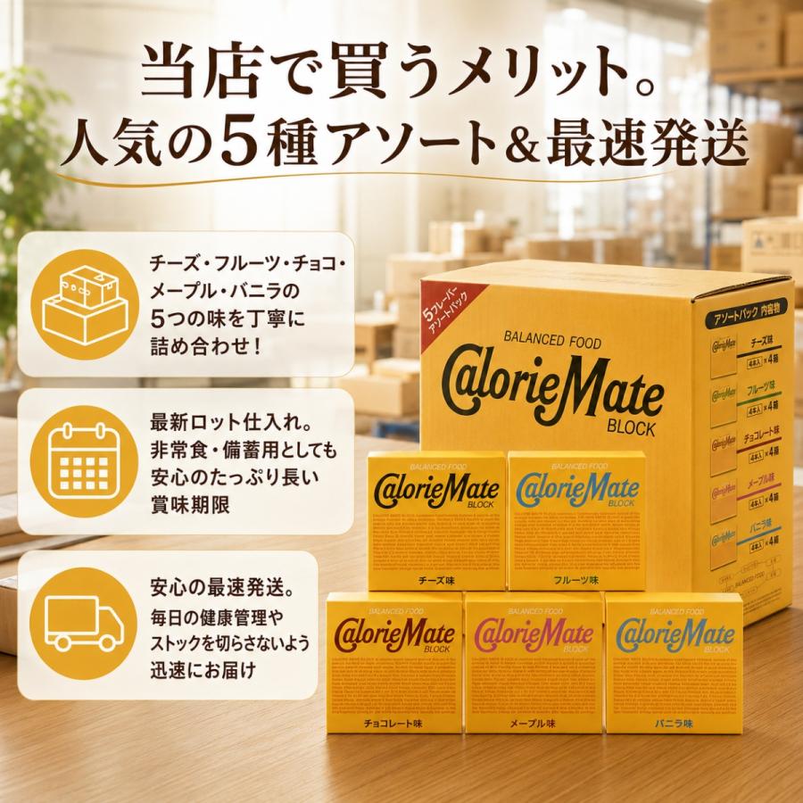 カロリーメイト チョコ ブロック 5種 4本入 2セット アソート