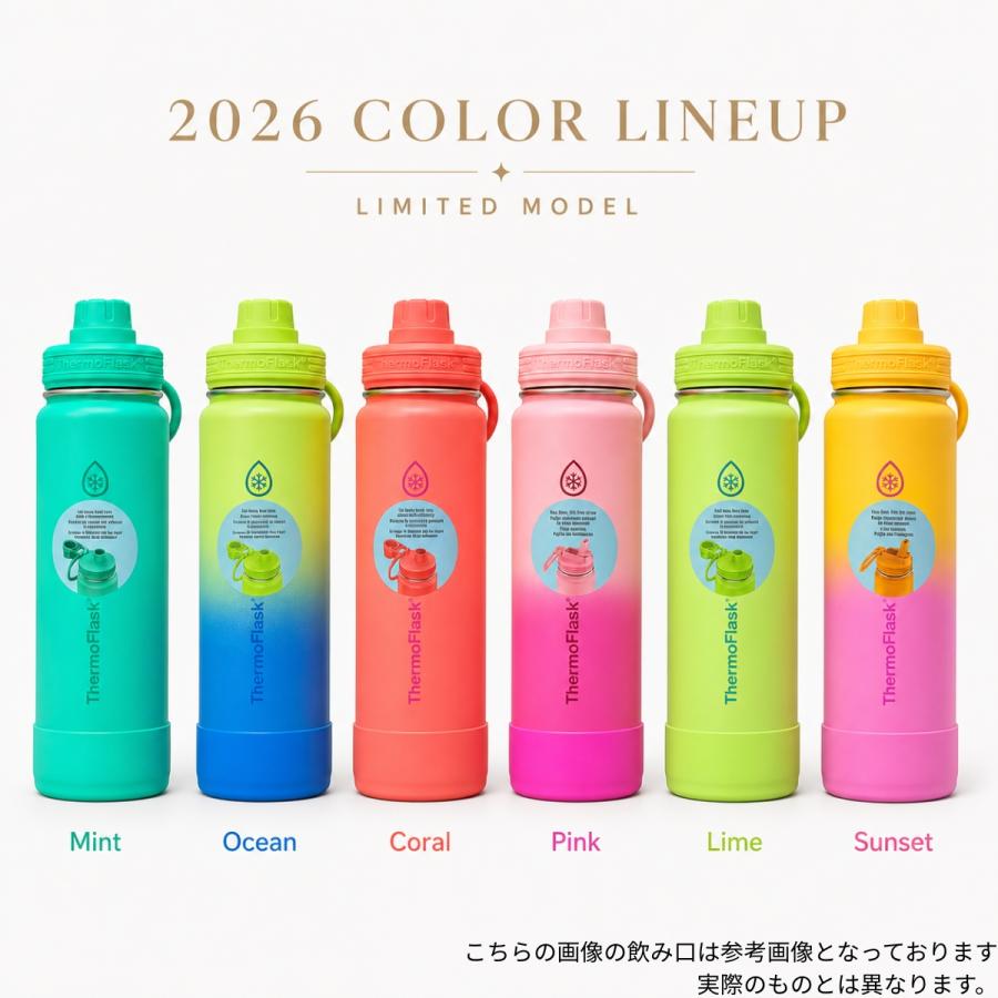 TAKEYA FLASK サーモフラスク 水筒 コストコ 700 ml おしゃれ 2本