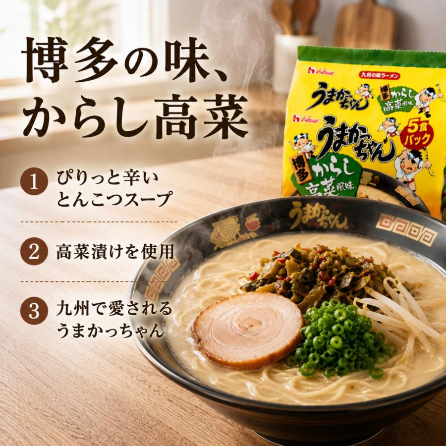 ハウス食品 うまかっちゃん 博多 からし高菜風味 20食 5食入り4袋