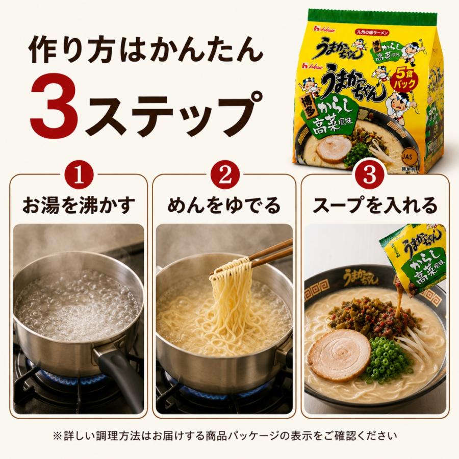 ハウス食品 うまかっちゃん 博多 からし高菜風味 20食 5食入り4袋