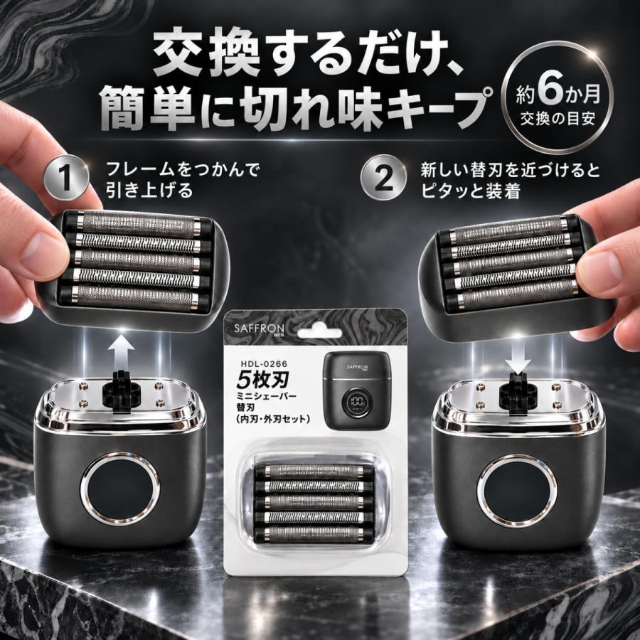 ヒロ・コーポレーション ミニシェーバー 5枚刃 本体 HDL-1700 携帯