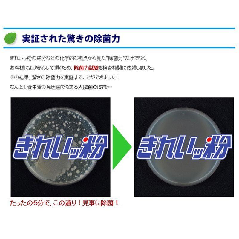 きれいっ粉 1kg 3個セット 過炭酸ナトリウム 酸素系 洗浄剤 洗剤 日本