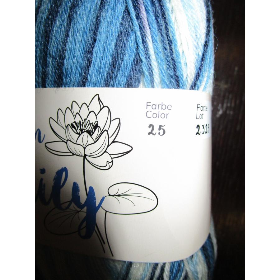 plus wool ボタニックガーデン25　100g　botanic garden  water Lily(スイレン）　ソックヤーン　毛糸 中細 4ply |  | 01