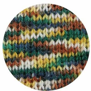 plus wool ボタニックガーデン28　100g　botanic garden Gladiolus(グラジオラス）　ソックヤーン　毛糸 中細 4ply |  | 02