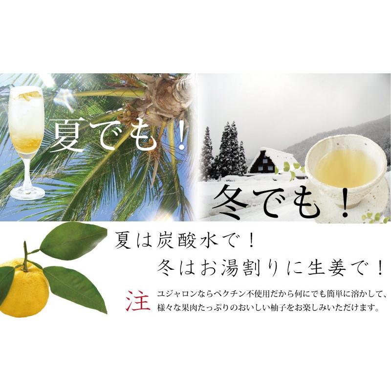 送料無料 香味 柚子茶 ユジャロン580ｇ2個セット ゆず茶｜ponte｜02