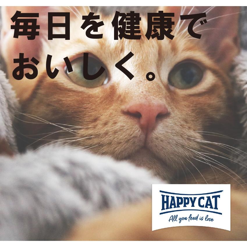 ハッピーキャットセンシティブ グレインフリー ジュニア 1 4kg 子猫用 鴨肉風味 極小粒 グレインフリー 穀物不使用 Ca01 19 45 トイプードルのスマイル 通販 Yahoo ショッピング