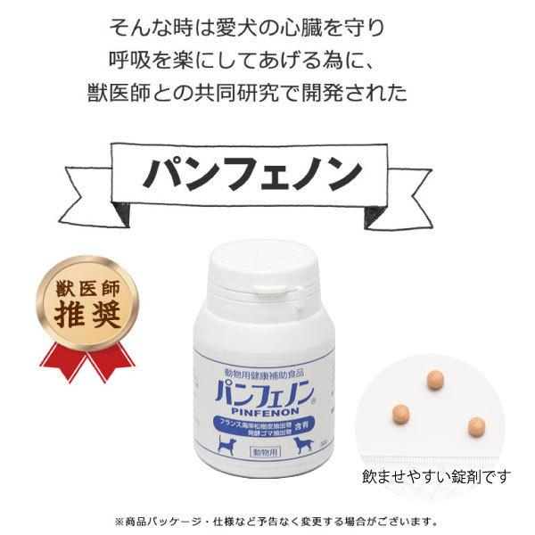 即納特典付き ポイント10倍 パンフェノン 1粒 スケアクロウ 国産素材無添加おやつ付き シニア犬サプリ 即発送可能 Www Muslimaidusa Org