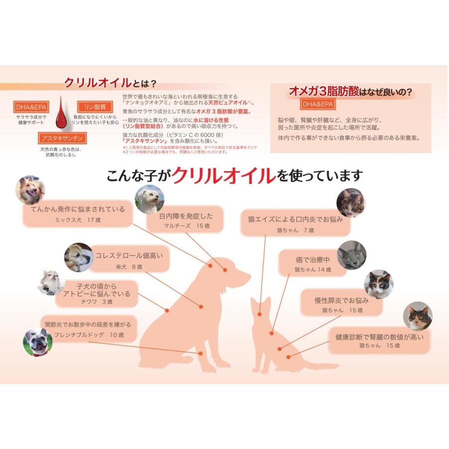 市場 ホワイトフォックス 瀬戸内産いりこ 100g 代引不可 メール便2袋までok