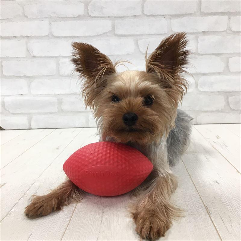犬のボール 犬のおもちゃ Pitchdog ピッチドッグ ブルー ピンク Sport Ball 投げる くわえる Tc11 015 トイプードルのスマイル 通販 Yahoo ショッピング