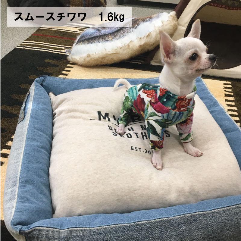 Solgra ソルグラ デニムスクエアベッド 3980円以上で送料無料 犬 小型犬 超小型犬 ベッド おしゃれデニム ペットベッド Td04 105 トイプードルのスマイル 通販 Yahoo ショッピング