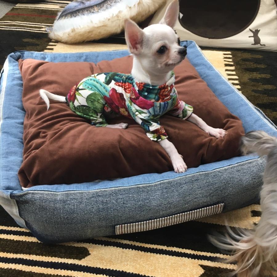 Solgra ソルグラ デニムスクエアベッド 3980円以上で送料無料 犬 小型犬 超小型犬 ベッド おしゃれデニム ペットベッド Td04 105 トイプードルのスマイル 通販 Yahoo ショッピング