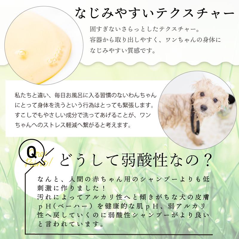 ペットシャンプー コンデイショナーセットamino 半額品 0ml 選べるパッケージ アミノ酸ペットシャンプー ペットに優しいシャンプー おやつ フード付