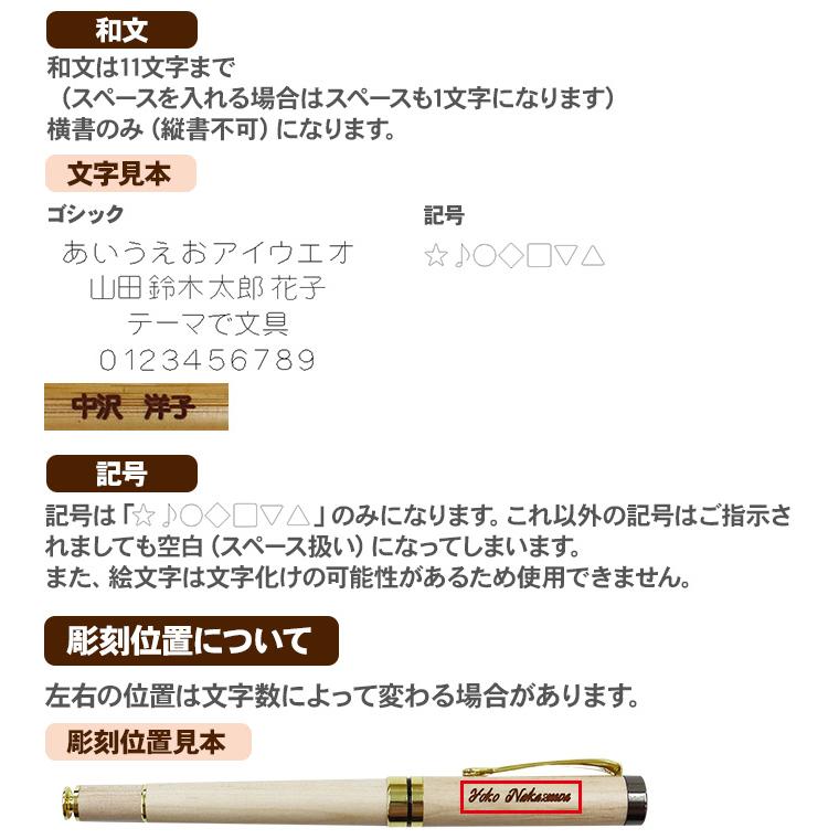 父の日 名入れ ボールペン 万年筆 プレゼント ギフト ケースセット