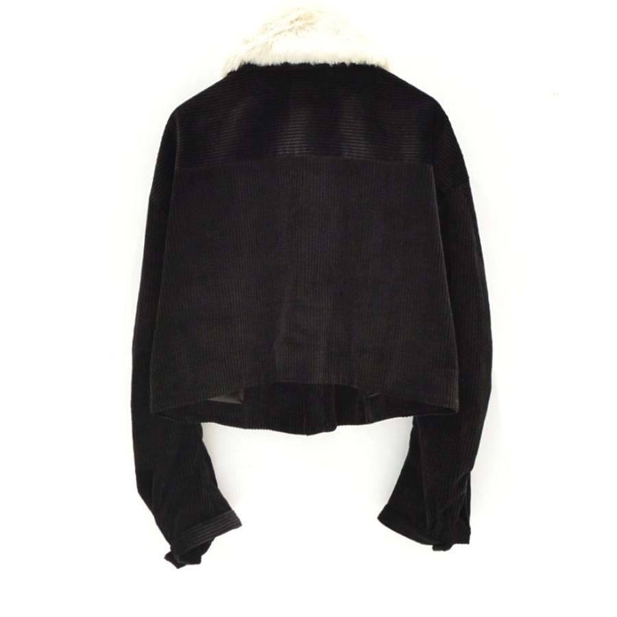 licht bestreben(リヒト ベシュトレーベン) / リタッチャブルファー