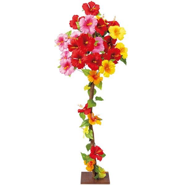 ハイビスカス立木