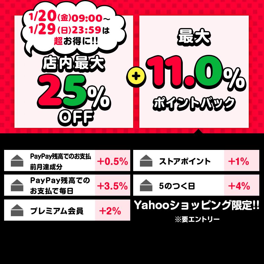 大人気定番商品 popIn Aladdin 2 Plus 推奨テレビチューナーセット