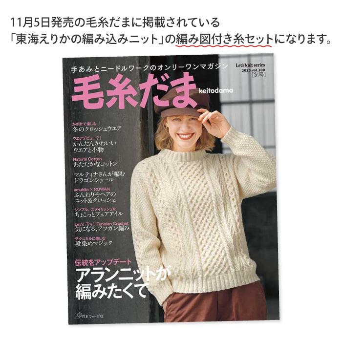 東海えりか クッキーのバッグ 編み物 キット パピー毛糸 30543204 1ケ