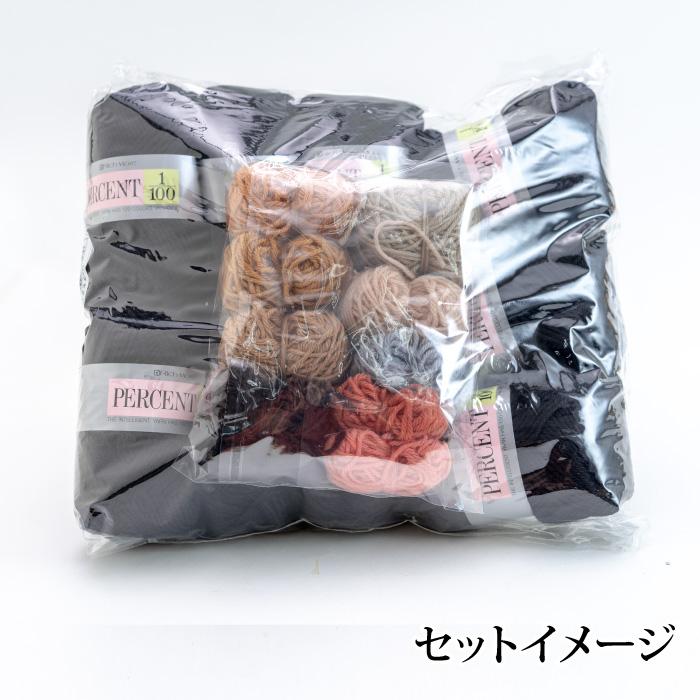 編み物 キット ポプラオリジナルキット [糸セット]フレンチブルのプルオーバー 1セット 秋冬 プルオーバー 取寄商品_2