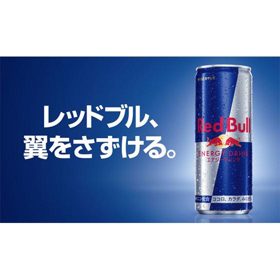 レッドブル（RedBull） エナジードリンク 24本単位で選べる 合計48本