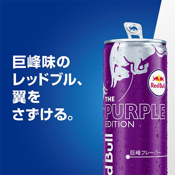 レッドブル（RedBull） エナジードリンク 24本単位で選べる 合計48本