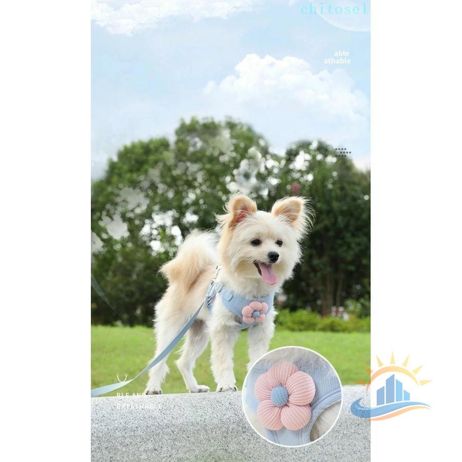 小型犬 中型犬 犬用ハーネス 犬 アウトドア 通気 S-XL ハーネス ネーム