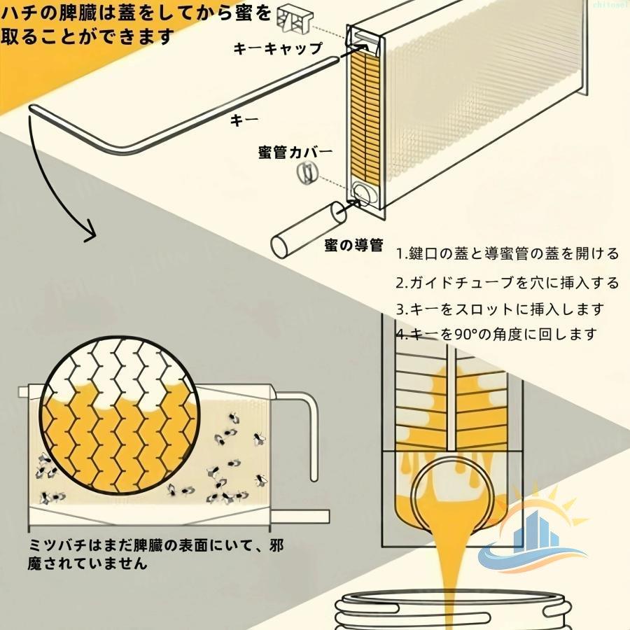蜂の巣箱 蜂蜜が自動で流れ 新登場 ミツバチの巣箱セット ハチミツ集め