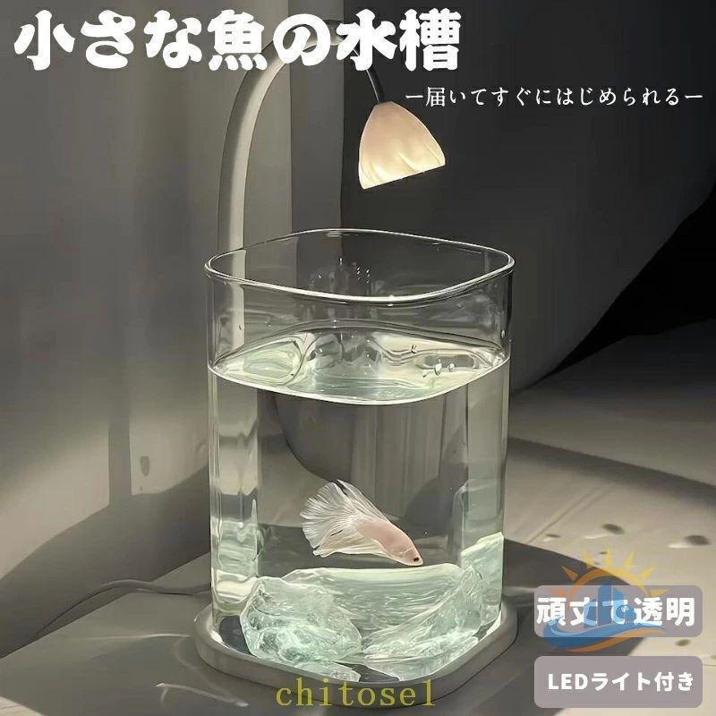 水槽セット 金魚鉢 金魚 飼育 アクアリウム 容器 透明 熱帯魚 メダカ 