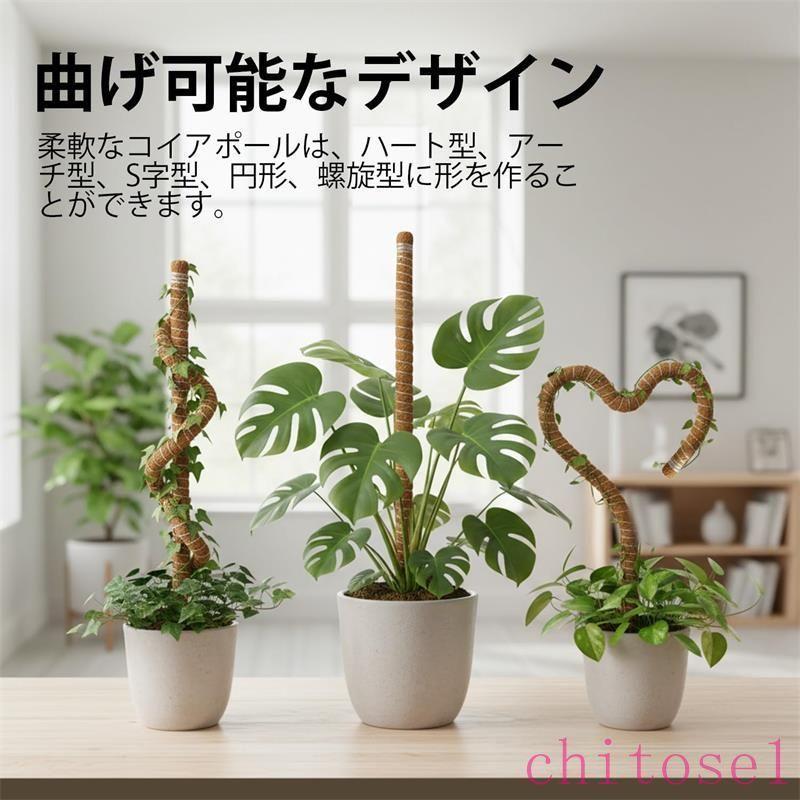 観葉植物 支柱 モンステラ 2本入り 園芸用支柱 曲げ可能 ココナッツ