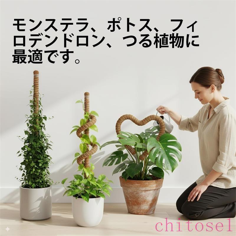 観葉植物 支柱 モンステラ 2本入り 園芸用支柱 曲げ可能 ココナッツ