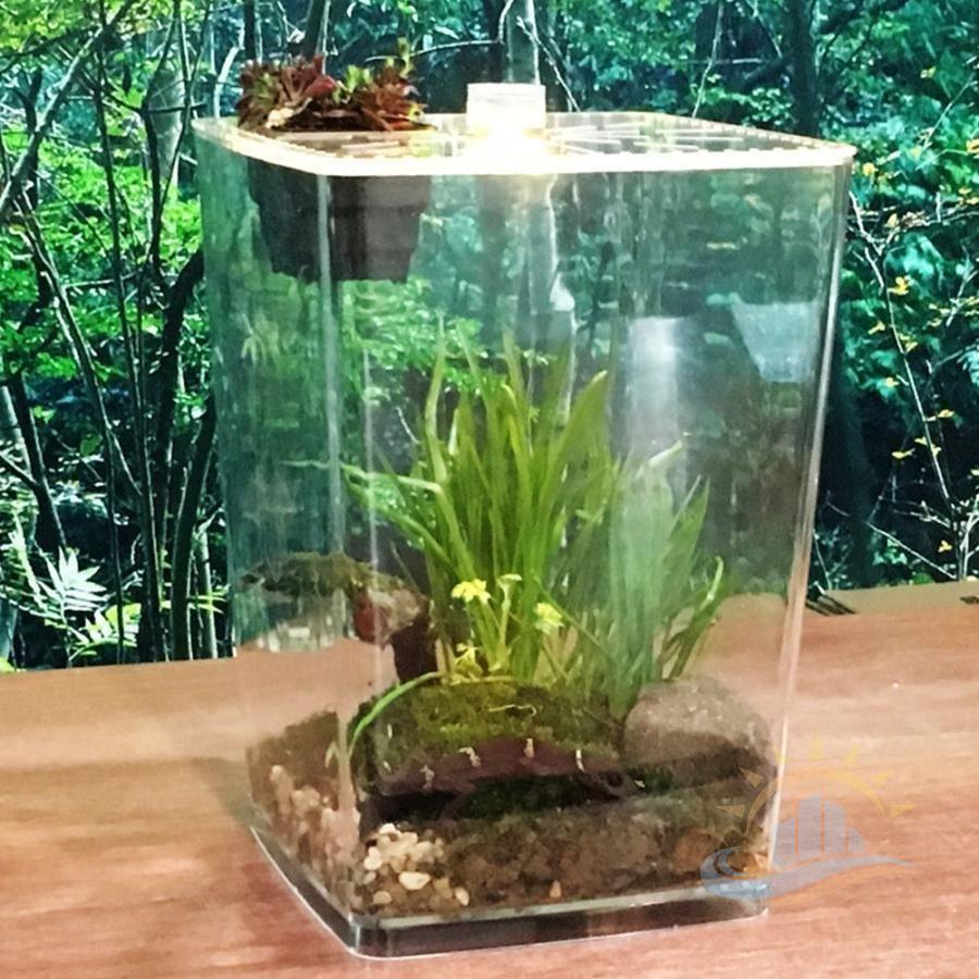 爬虫類 ケージ 水槽 トカゲ サソリ ゲージ カメレオン LEDライト 