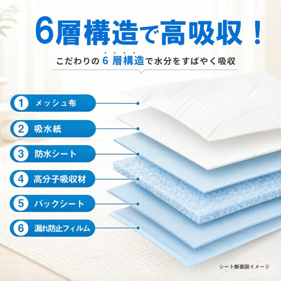 ペットシート ワイド レギュラー ペットシーツ レギュラー 800枚 薄型 ペットシート ワイド ペット