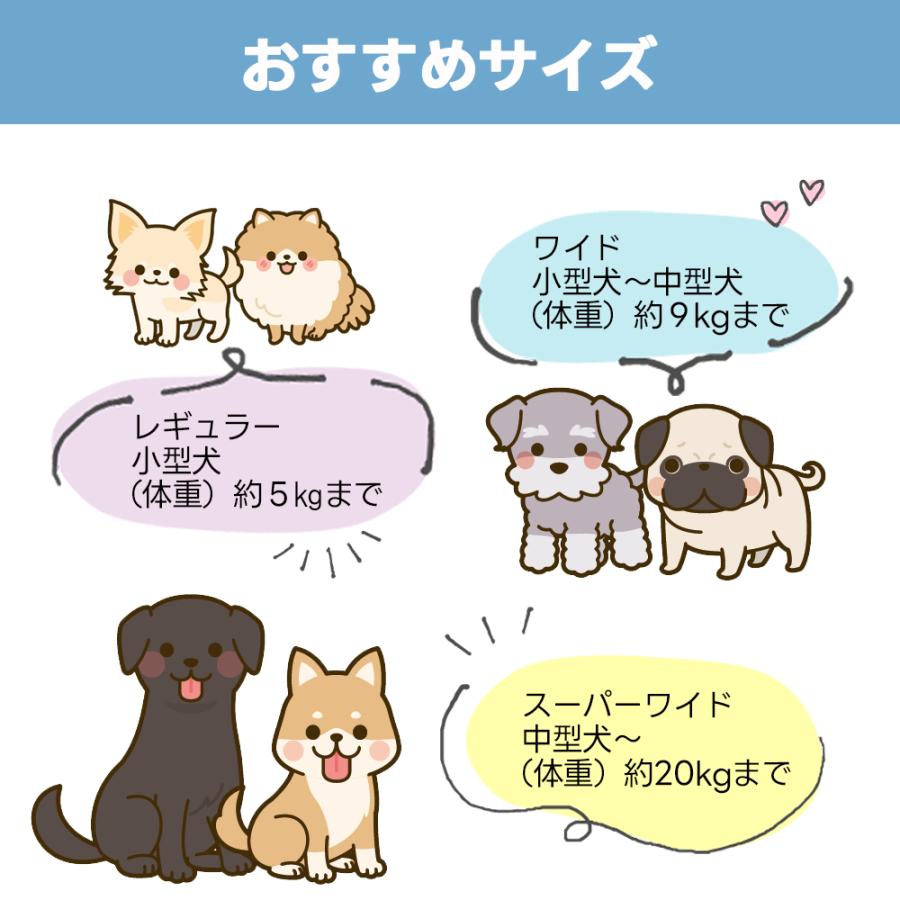 ペットシーツ レギュラー 800枚 薄型 ペットシート ワイド ペット