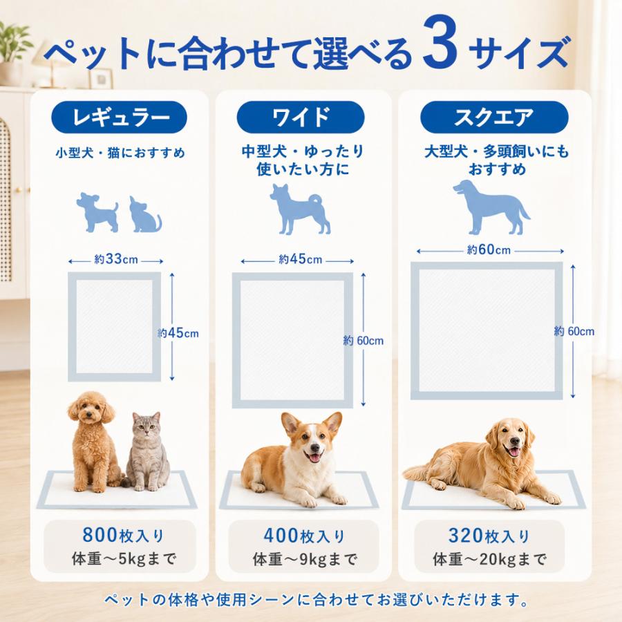 ペットシーツ レギュラー 800枚 薄型 ペットシート ワイド ペット