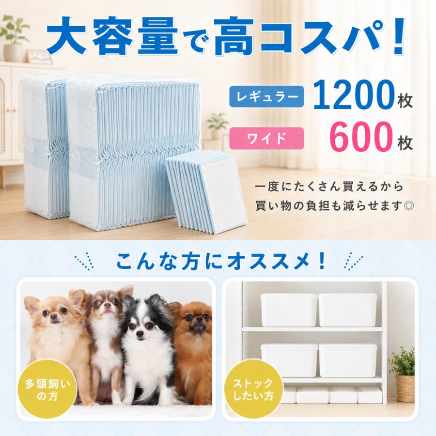 ペットシーツ レギュラー 800枚 薄型 ペットシート ワイド ペット