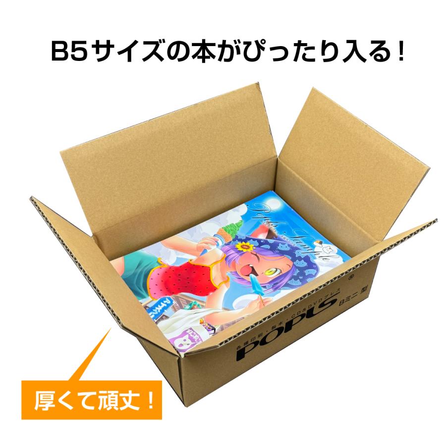 ポプルスの箱（Bミニ型） ダンボール 梱包資材 : ポップルート - 通販