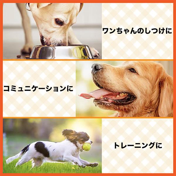 コールベル しつけベル 犬 猫 トレーニング おもちゃ 訓練 呼鈴 A117 ポップステップ 通販 Yahoo ショッピング