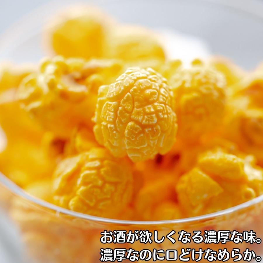 ポップコーン チェダーチーズ 国産 御中元 御歳暮 ギフト 御礼 お祝い