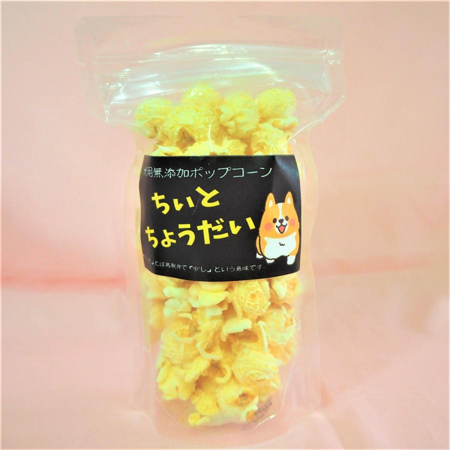 犬のおやつ添加物不使用 犬のポップコーン 18ｇ Popcorn Inu ぽっぷんru Fu 通販 Yahoo ショッピング