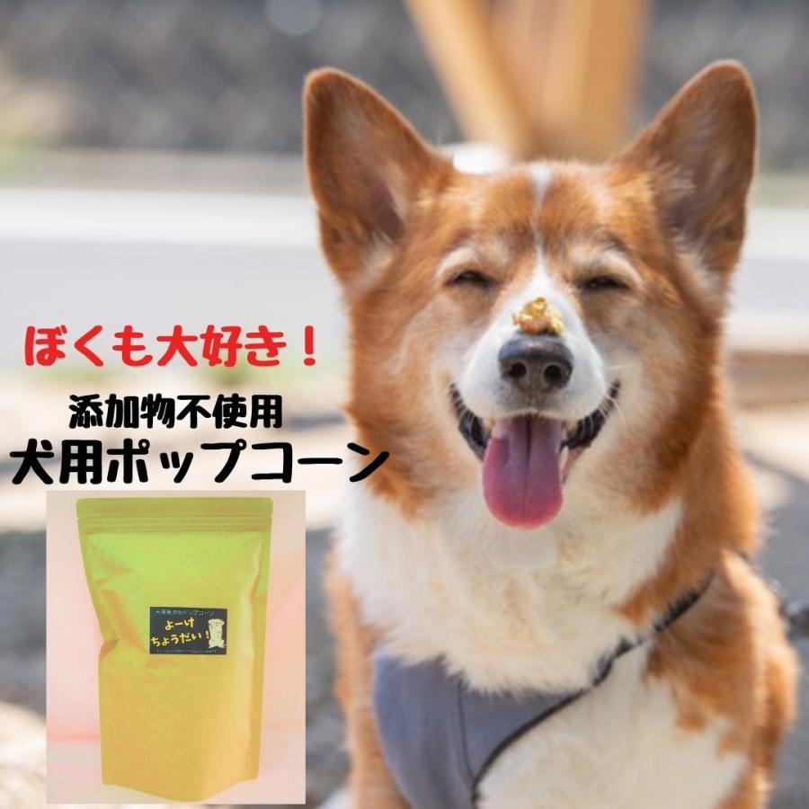 犬のおやつ添加物不使用 犬のポップコーン よーけちょうだい 80ｇ Popcorn Inuyouke ぽっぷんru Fu 通販 Yahoo ショッピング