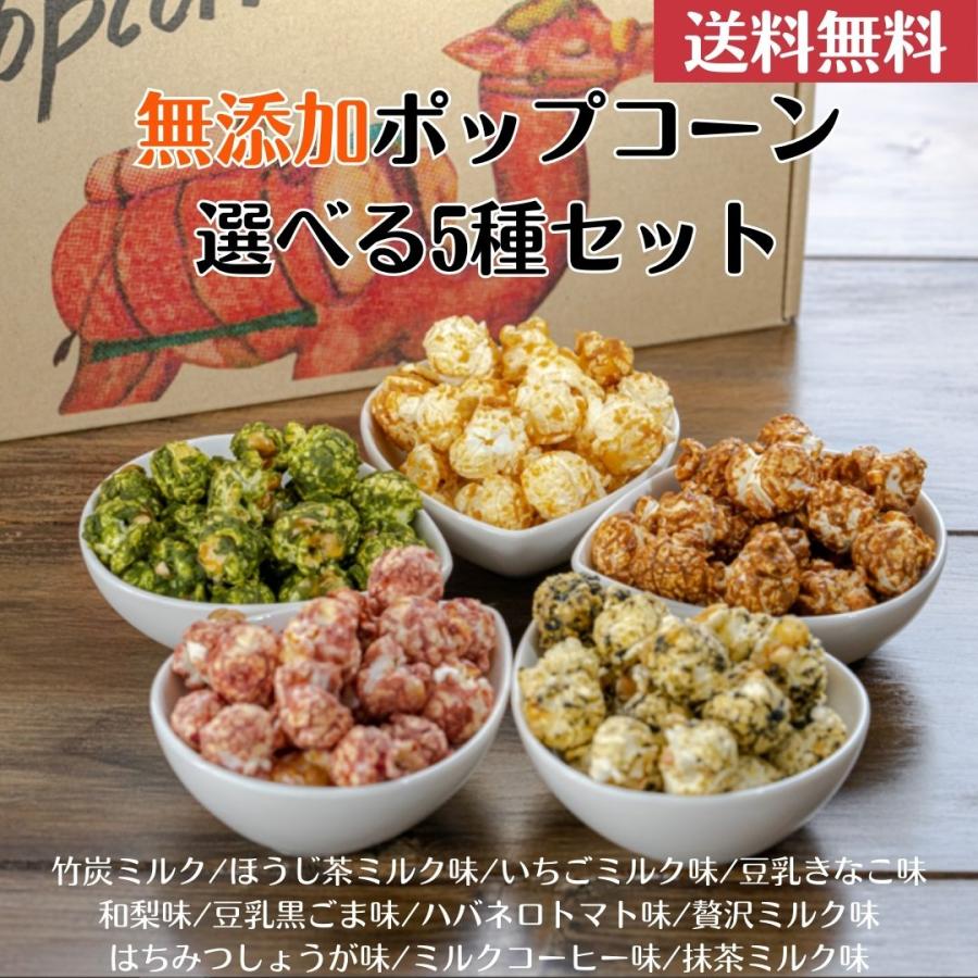 ポップコーン焼き塩味セット 10セット500人分 【公式通販】