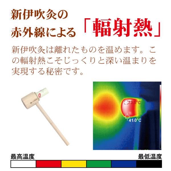 国産温灸 新伊吹灸 替えもぐさビワ葉入り8本 お灸 : グリーンポプリ