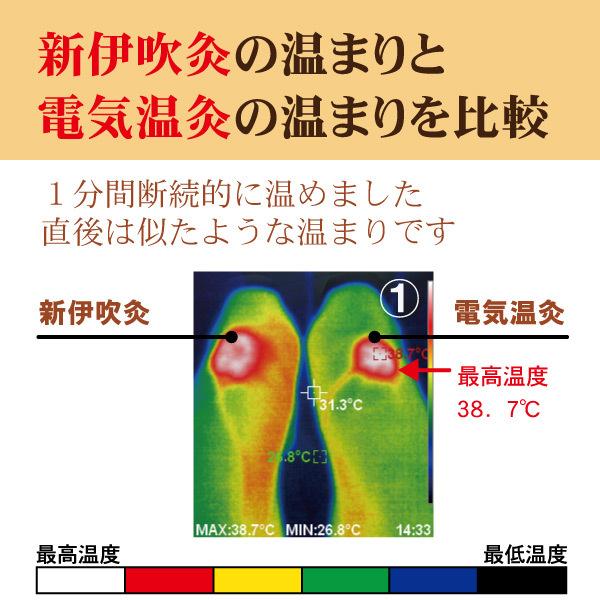 国産温灸 新伊吹灸 替えもぐさビワ葉入り8本 お灸 : グリーンポプリ