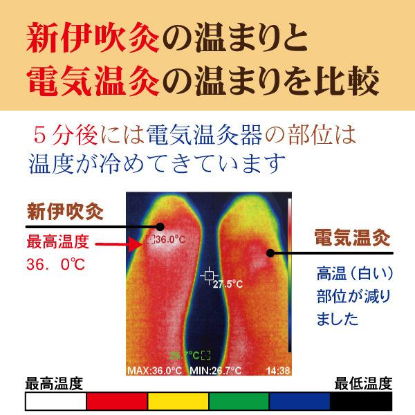 国産温灸 新伊吹灸 替えもぐさビワ葉入り8本 お灸 : グリーンポプリ
