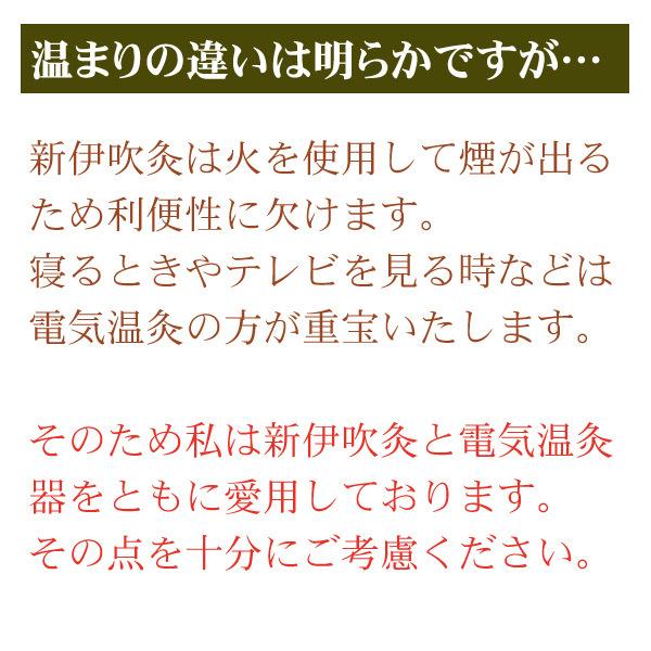 国産温灸 新伊吹灸 替えもぐさビワ葉入り8本 お灸 : グリーンポプリ