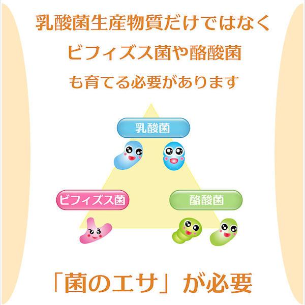 ポプリ乳酸菌生産物質90g  国産無農薬大豆を使用 16種の乳酸菌 ビフィズス菌入 水溶性食物繊維 難消化性オリゴ糖もブレンド 菌活 サプリ｜popuri｜09